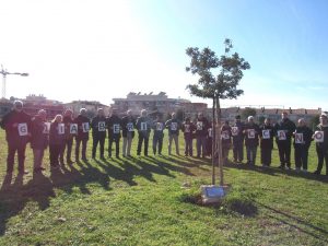 &laquo;Difendiamo gli alberi di viale Mediterraneo&raquo;