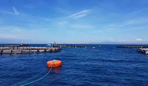 Piscicoltura, preoccupazione di Federbalneari per l&rsquo;impianto OffShore