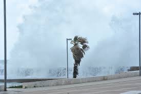 Maltempo, allerta gialla per vento sul Lazio