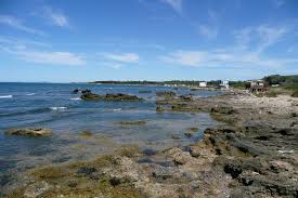 Piscicoltura, Barbaranelli: &ldquo;La citt&agrave; ancora una volta esclusa dal dibattito&rdquo;