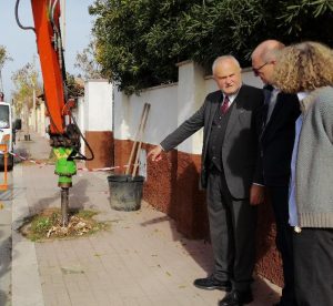 «Potature in corso in tutto il territorio»