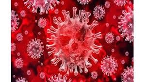 Il Covid-19 non sarebbe frutto di un complotto