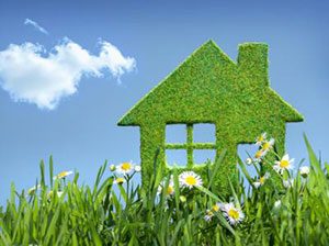 Pandemia e sfide green