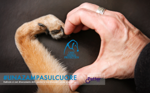 Emergenza sanitaria, LNDC chiede chiarimenti al Ministero della Salute