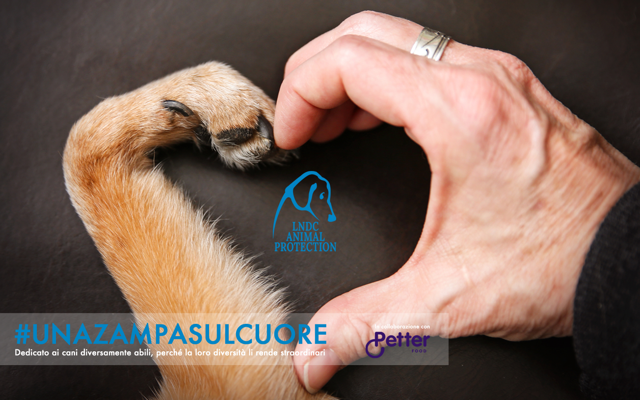 Emergenza sanitaria, LNDC chiede chiarimenti al Ministero della Salute