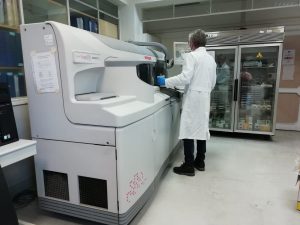 Covid19, anticorpi nel 3,6% della popolazione