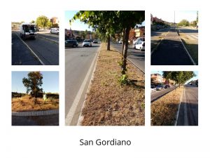 Servizio igiene ambientale a pieno regime