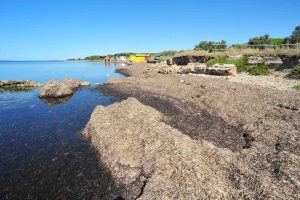 Scivolo alla Frasca, il progetto c’è