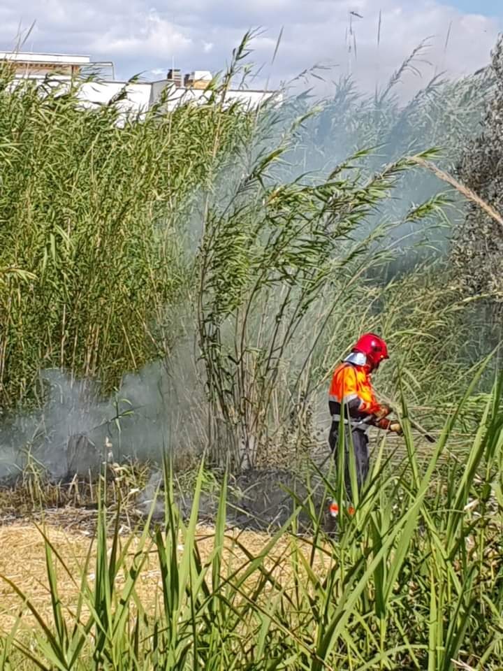 Cerveteri, incendio in zona Cerqueta