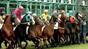 Ippica, Bellanova a Conte e Speranza: “Necessario annunciare la ripresa delle attività al 22 maggio”