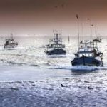 Coldiretti, il Coronavirus ‘affonda la pesca’