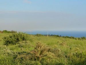 Santa Marinella, Bianchi: «A Poggio Bellavista sarà realizzato un bosco»