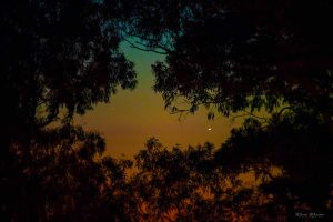 La NASA sceglie una foto scattata a Civitavecchia