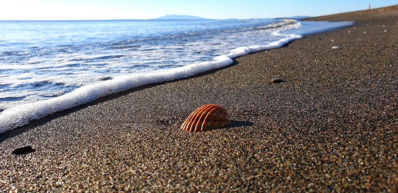 Montalto di Castro – Torna la fiera delle tradizioni maremmane “Maremma d’aMare”