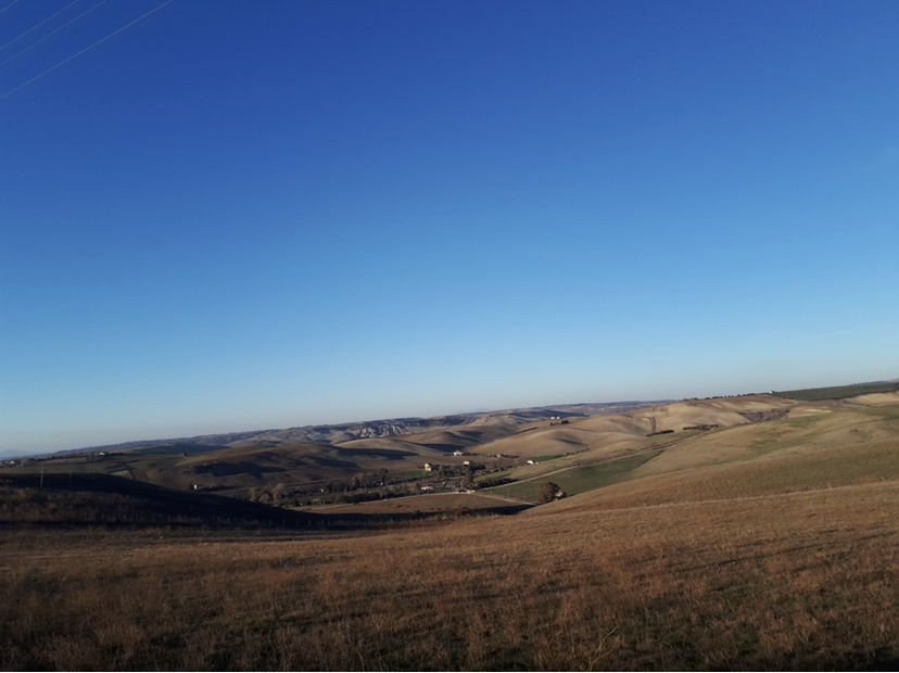 «Trasversale, decisivo solo il parere della Corte di Giustizia Europea»