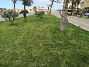 Prosegue la manutenzione del verde sul territorio