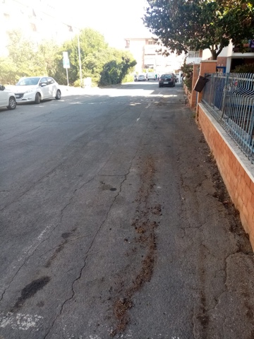 Spazzamento, diserbo e verde, prosegue la pulizia del territorio