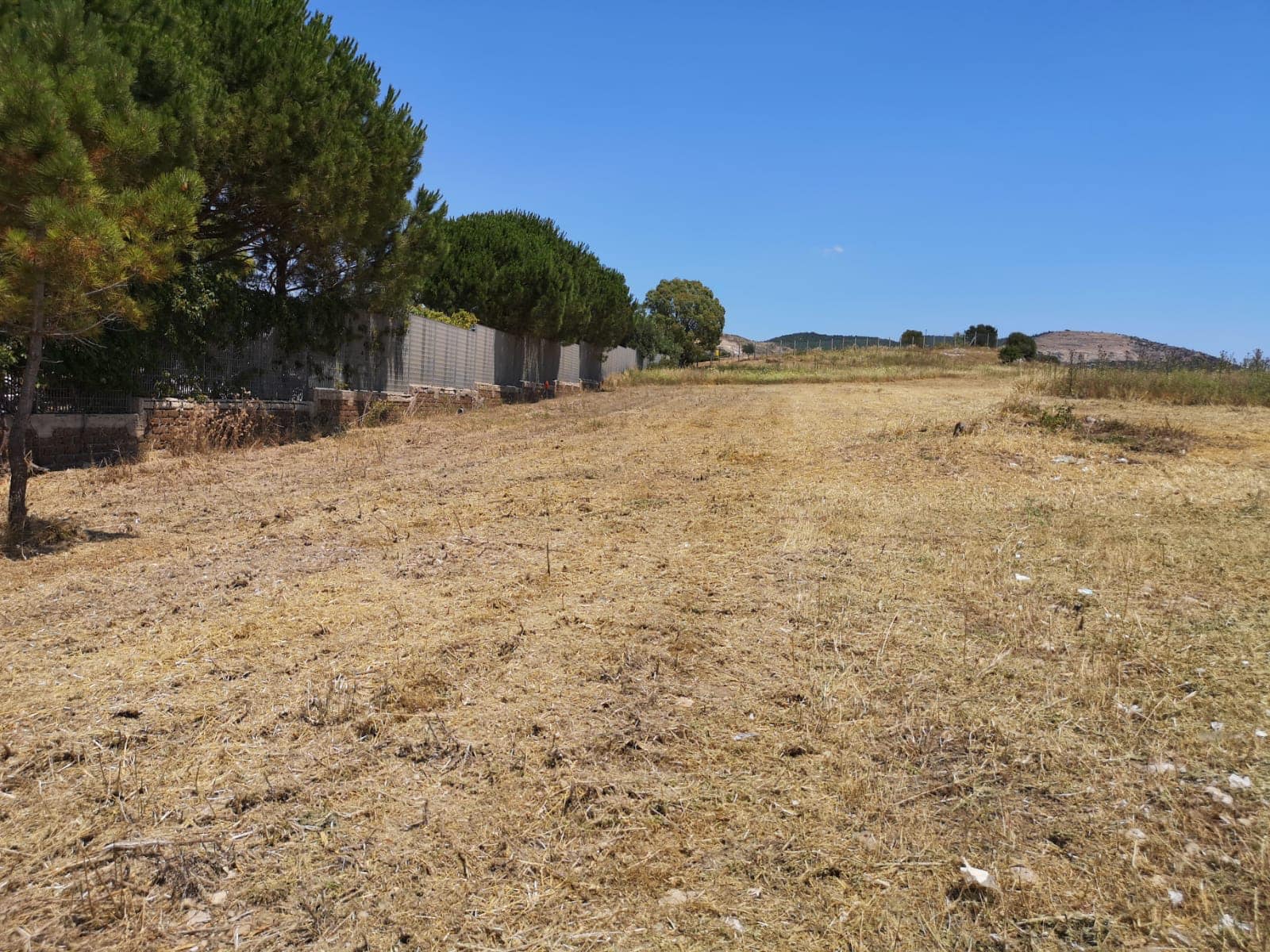 Prosegue la pulizia del territorio