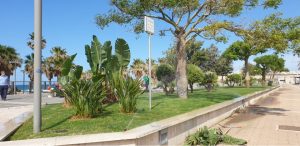 Igiene ambientale e verde: prosegue la pulizia del territorio