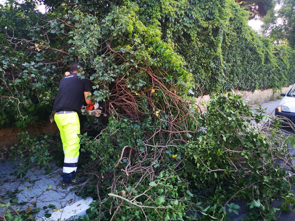 Igiene ambientale e verde, proseguono le attività delle squadre di CSP