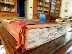 Civitavecchia – Biblioteca comunale, i Giovani dem: ”No alla privatizzazione”