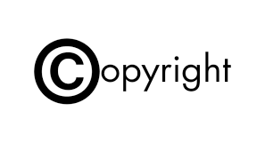 Copyright, ANSO: “Gli editori abbiano facoltà di scegliere il proprio destino”