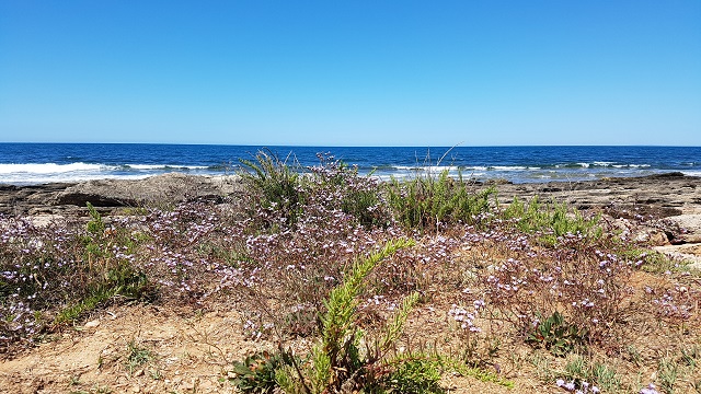 ‘Meraviglie dietro casa’, Frasca in primo piano con la Lipu