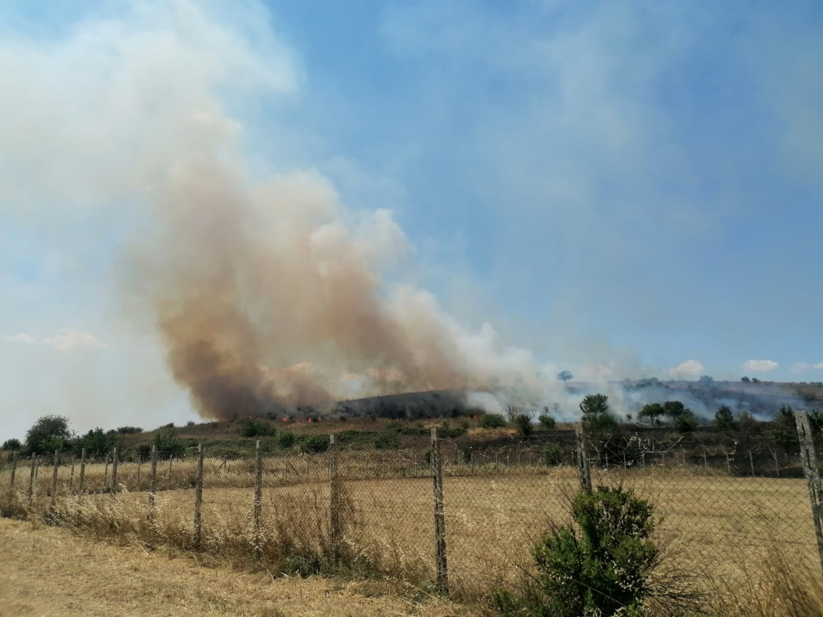 Gruppo di Protezione civile Civitavecchia in campo anche contro gli incendi