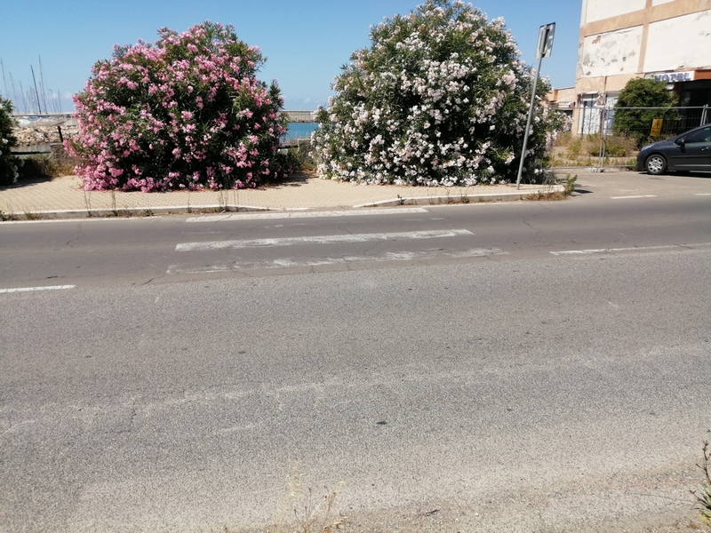 SDU: “Strisce pedonali cercasi”