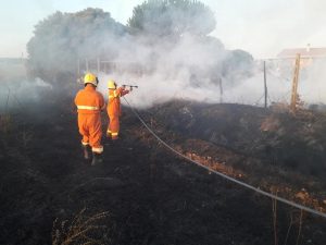 02397EDA-AC43-4A31-BE02-CE8114F3BC92