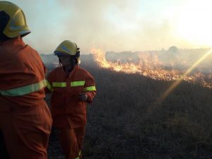 2426EFEA-52BB-4F80-99E6-9BCEF0709C7F