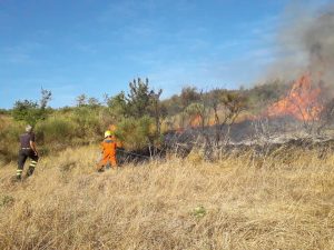 42BBE324-1627-4DE2-BA2D-9B55C04F50C3