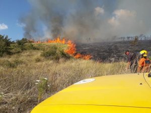 4734D094-702E-4B83-80D1-8C3403658DB9