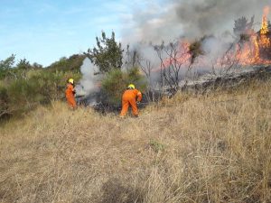 48A8E23B-4131-4BD1-B36B-DFB2EE13F009