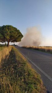 51472FBC-5B5C-4806-8A6A-81C92FD33384