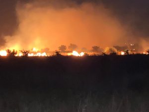 5B6E913C-59E2-41F6-A0E8-AE7B4887CB01