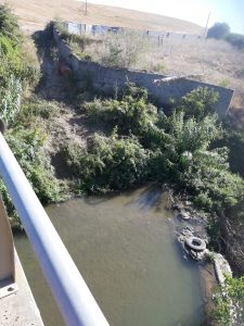 5DCFAB9A-0A65-43DD-83BC-DB56D7A4F808