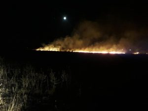 688AEECA-B650-431E-875A-4B0465F3D442