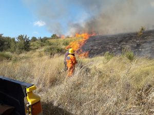 6E5C93B4-D9A3-4B63-B57E-EEBE63C6CDA0