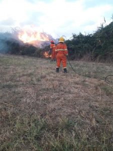 87A0F41B-472B-44D8-B9EA-B989D8849F61