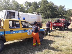 8CAFE82B-4296-4888-8D9D-D2F5A934FFDE