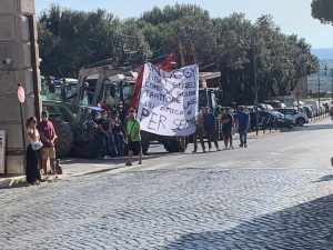 E9486C29-C12F-4F4C-A503-C84EC9C7FB05