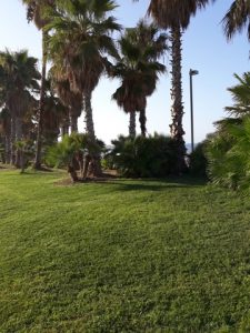 Prosegue la manutenzione del territorio