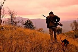 Caccia, OIPA: “Né il covid né gli incendi fermano Zingaretti”