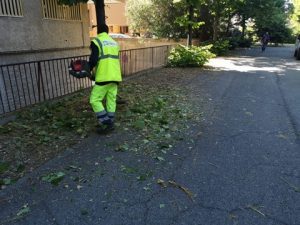 Verde pubblico, minoranza all’attacco: ”Ditte civitavecchiesi tagliate fuori”