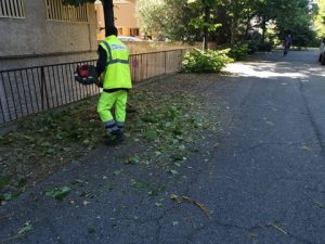 Verde pubblico, minoranza all’attacco: ”Ditte civitavecchiesi tagliate fuori”