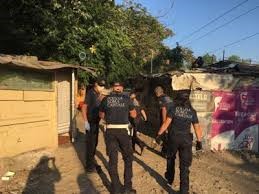 Via Foro Italico, Enpa Roma: ‘Chiediamo sgombero in sicurezza per gli animali’