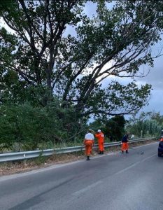 70 interventi dei vigili del fuoco per maltempo nel viterbese