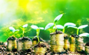 A Bari arriva “City Tree”, l’installazione green che combatte lo smog