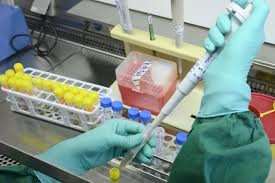Coronavirus, sette nuovi casi a Montalto di Castro. Quattro guariti a Tarquinia